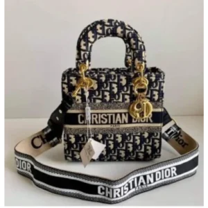 Classy Christian Dior Handbag for Women (SOS2564)